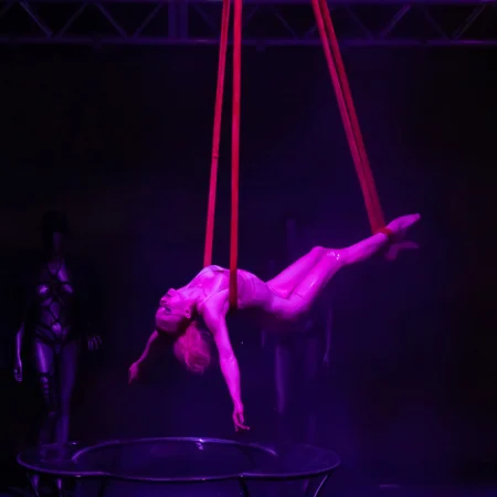   After Dark Show